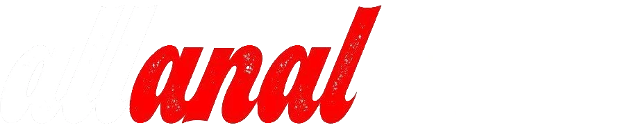 All Anal VR logo